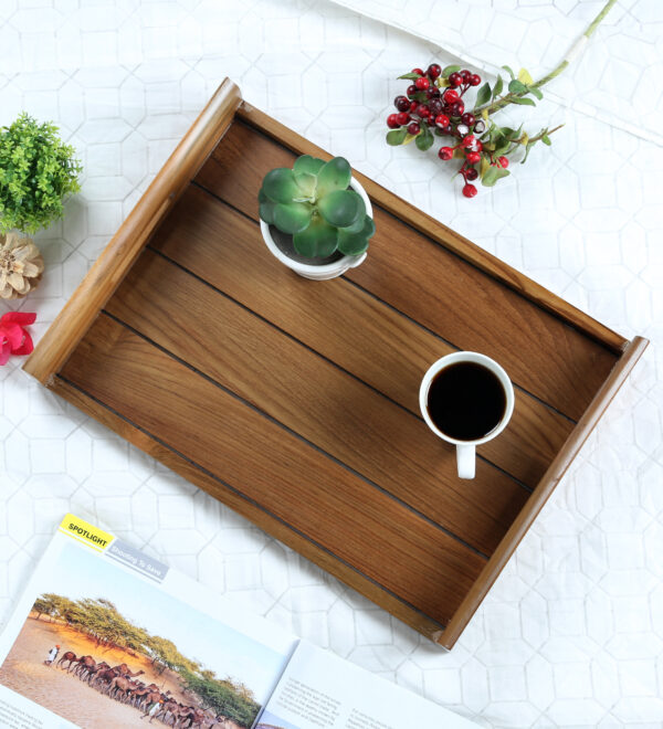 T-2 Tray Medium Size
