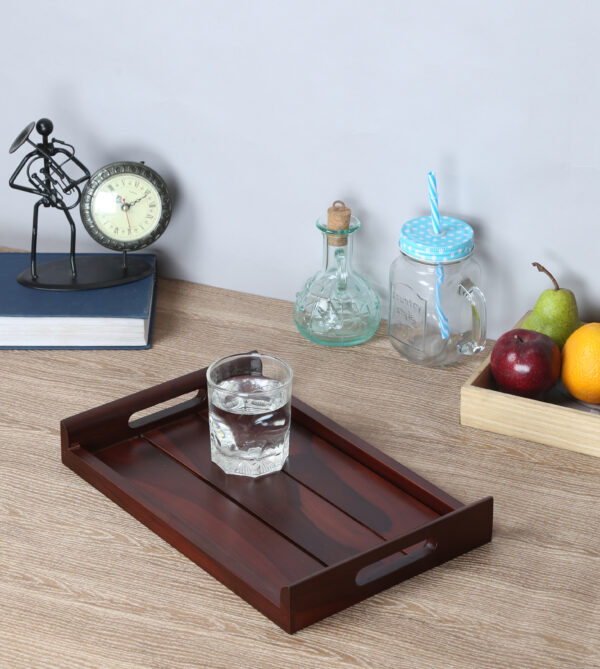 T-2 Tray Medium Size